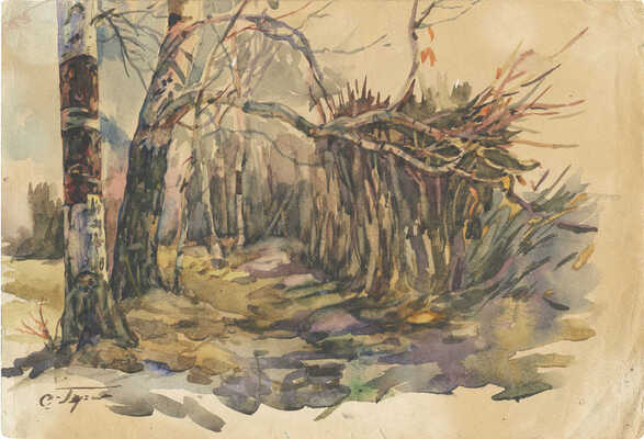 Герасимов Сергей Васильевич. Лесной пейзаж